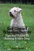 Thumbnail Soft Coated Wheaten Terrier Tips and Tricks To Raising A Nic Thumbnail Soft Coated Wheaten Terrier Tips and Tricks To Raising A Nic