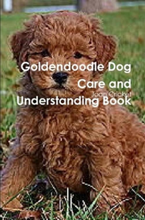 Product picture Goldendoodle Dog Care and Understanding Book